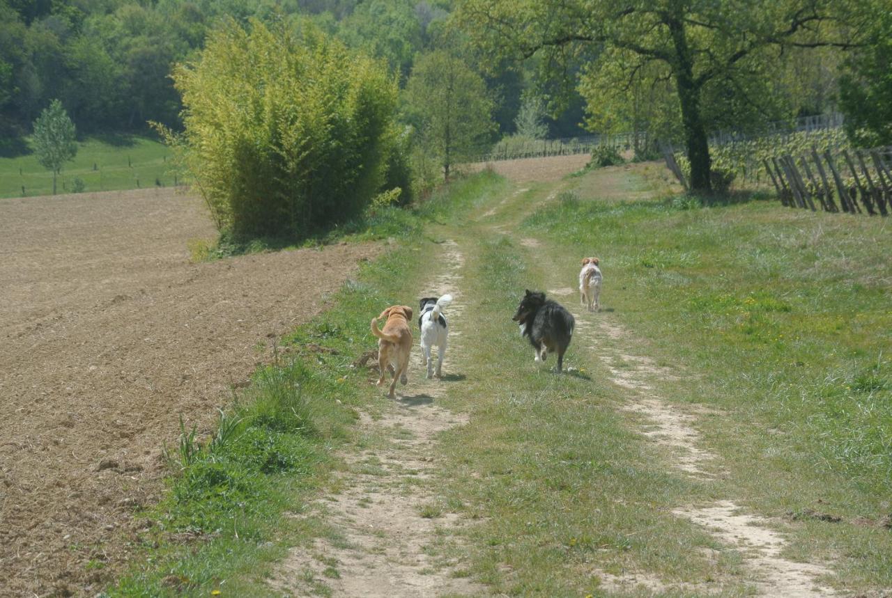 Viella Vacances Extérieur photo
